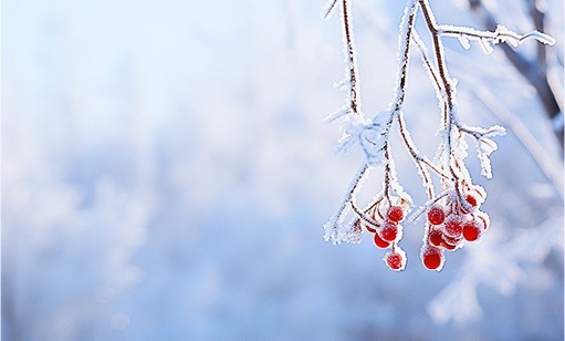 瑞雪兆丰年丨2024长沙初雪 2026世界杯官网雪景图集